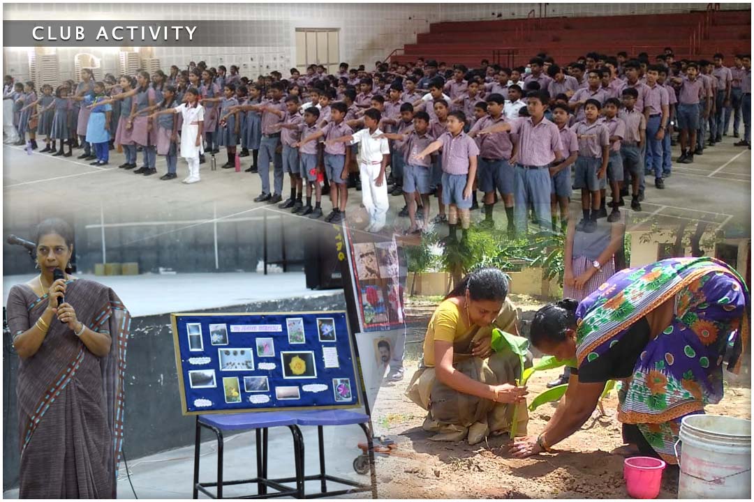 School Activity