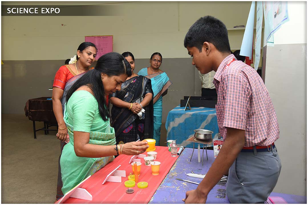 School Activity