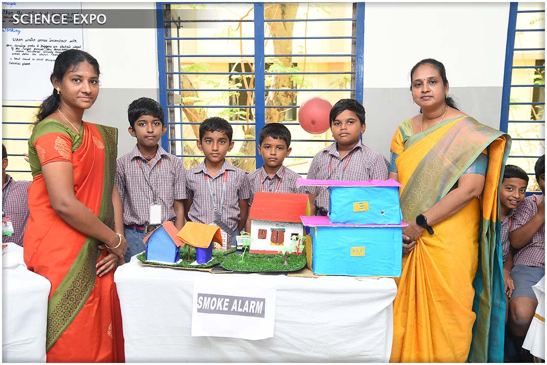 School Activity