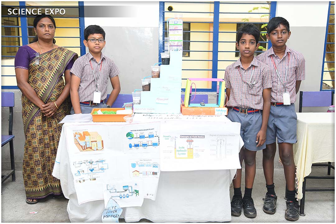 School Activity