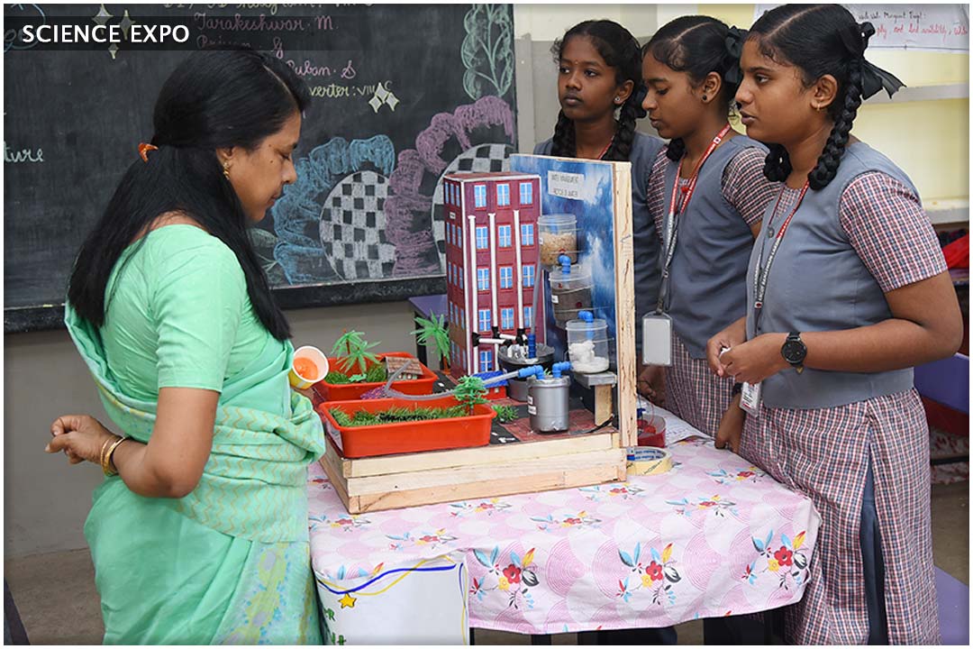 School Activity