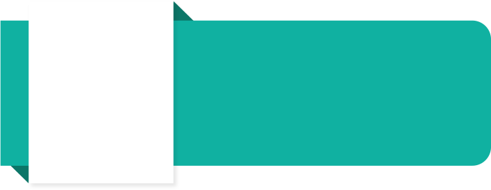 School Level